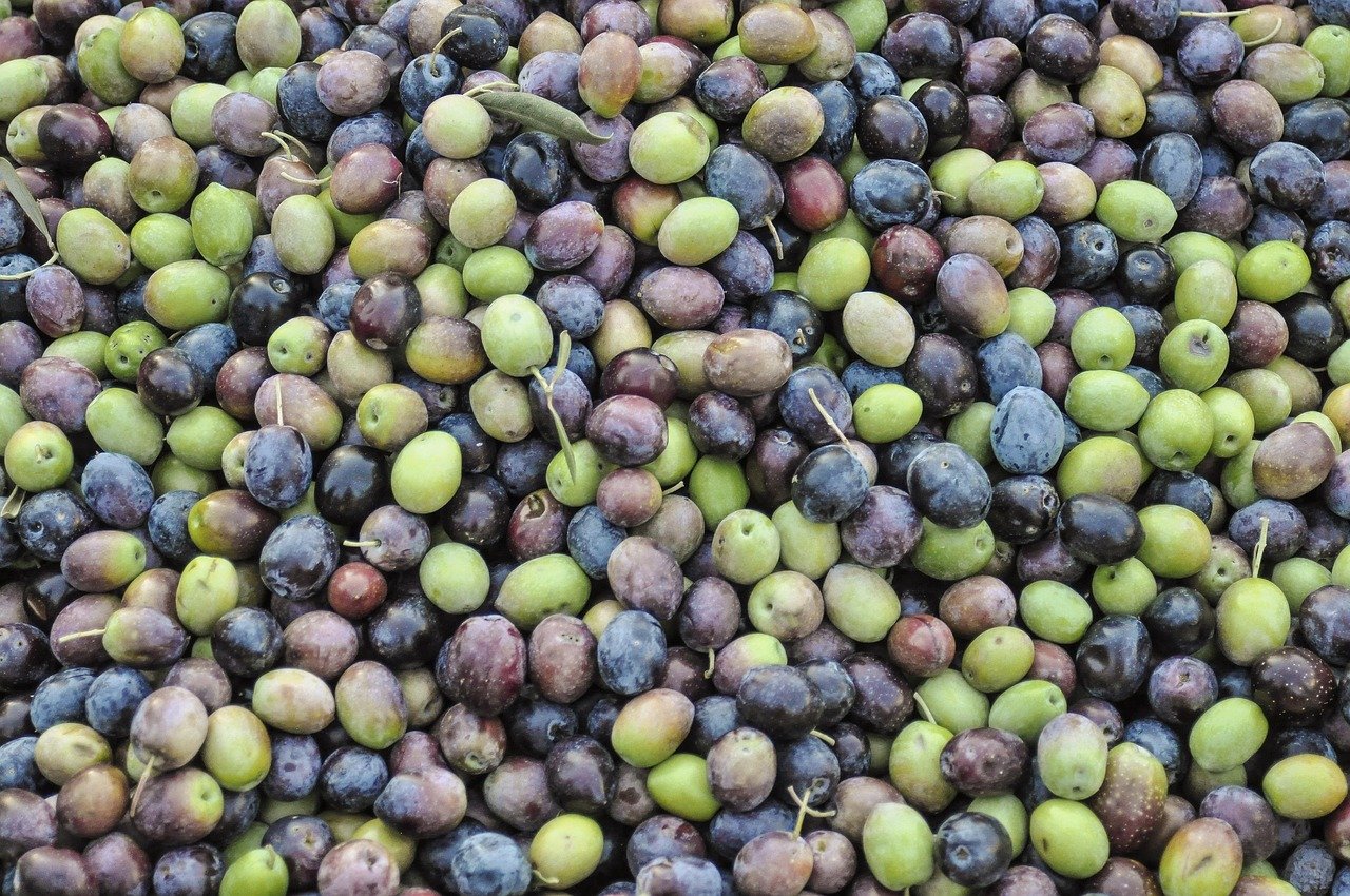 Gemlik Salamura Siyah Zeytin