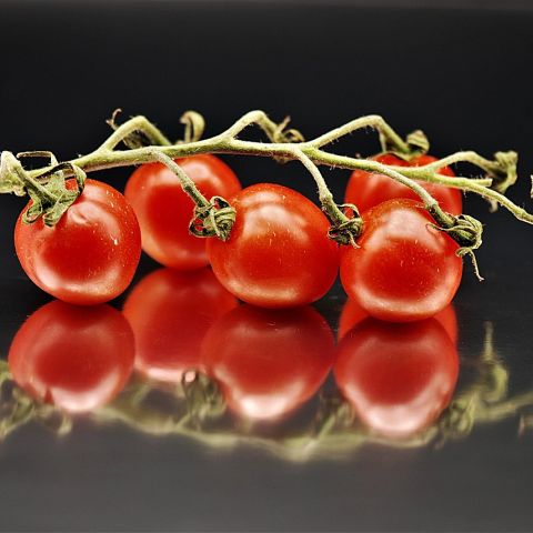 Köy Domatesi