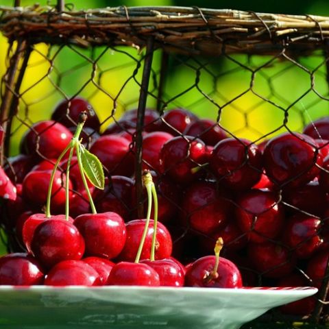Ev Yapımı Vişne Reçeli