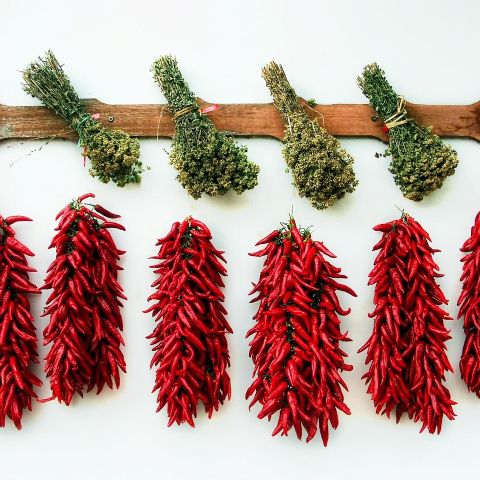 Kurutulmuş Patlıcan